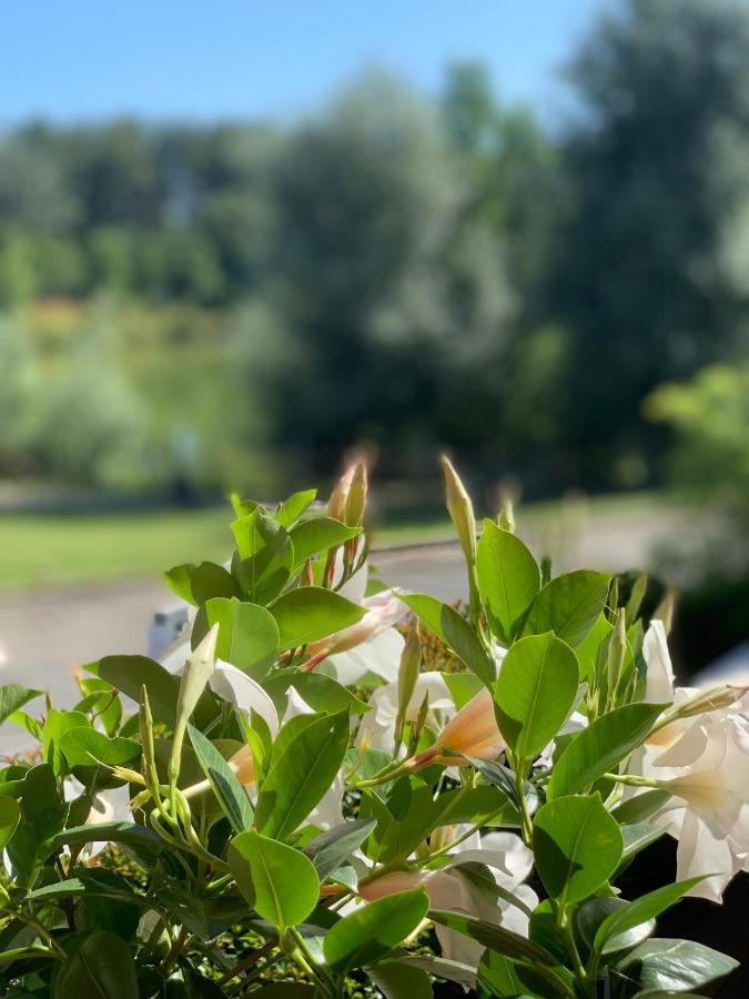 Cameracaffe Sul Lago Arezzo Exterior photo